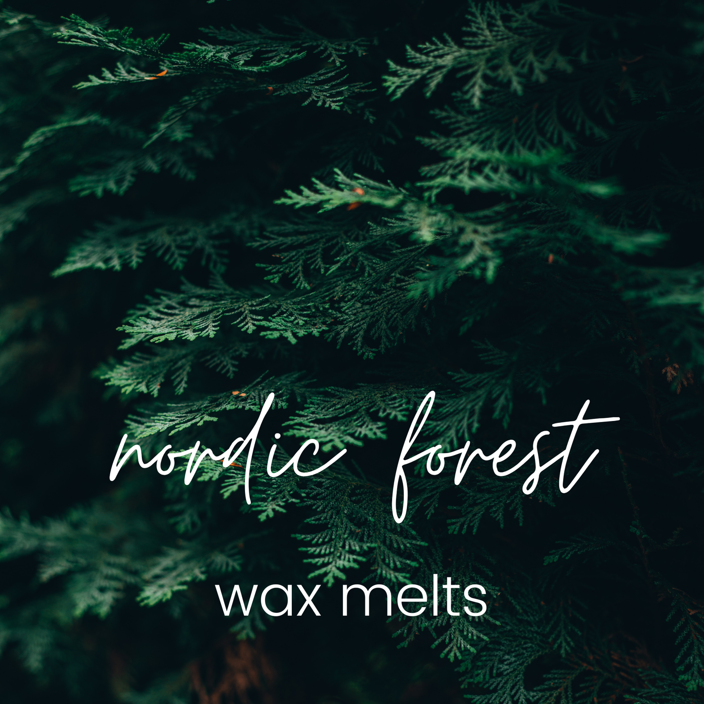 Nordic Forest Wax Melts
